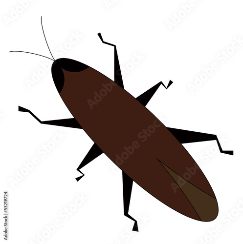 Bug