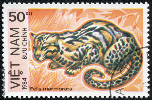stamp printed in Vietnam shows Felis marmorata or marbled cat