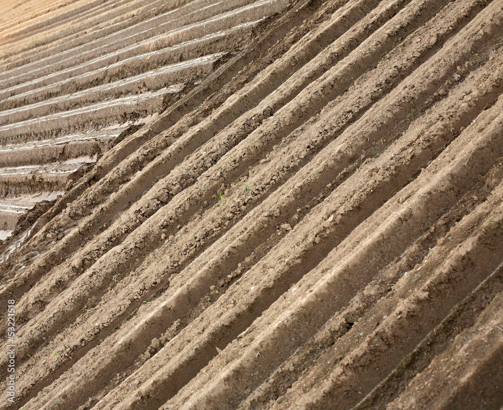 Plowed field in spring time