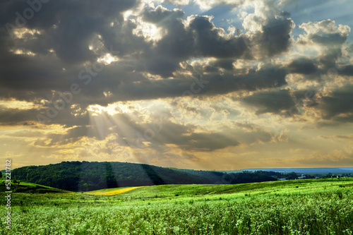 Beautiful spring field