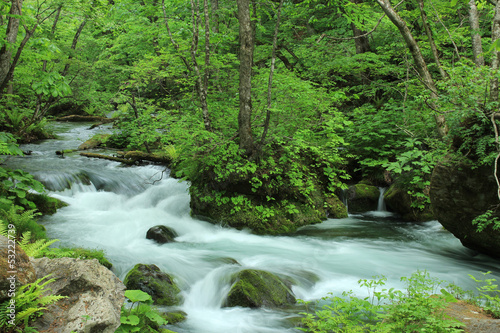 Oirase stream in Aomori, Japan