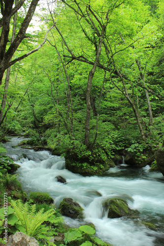 Oirase stream in Aomori  Japan