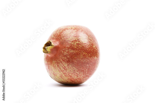 the pomegranate fruit