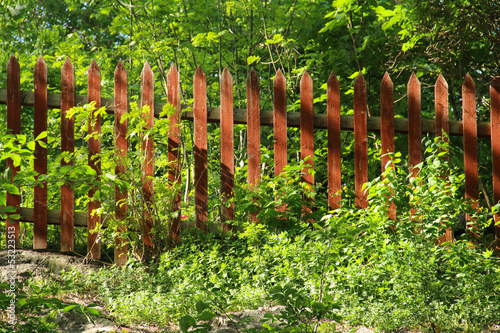 Fototapeta Naklejka Na Ścianę i Meble -  Old red wooden fence in spring