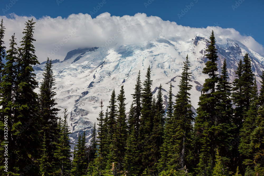 Mt.Rainier Mt.Rainier