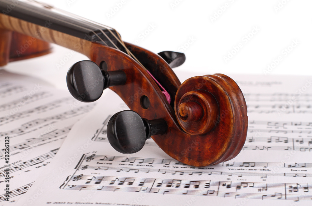 Naklejka premium Violine / Geige