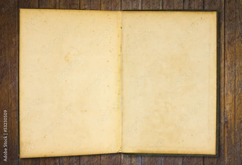 Old book (Ancient book) on wood wall