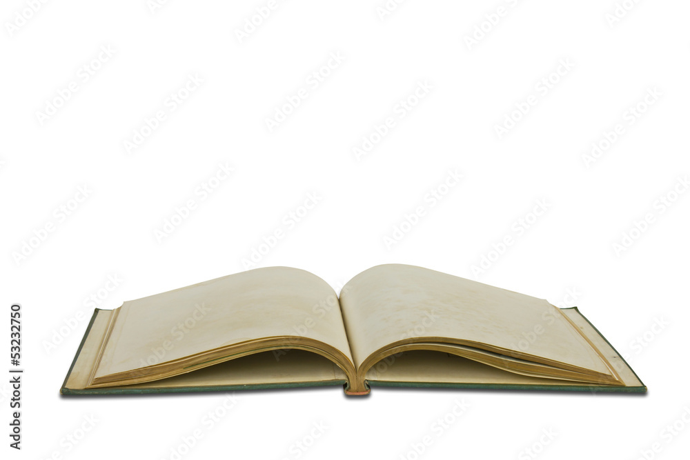 Opened book with blank pages isolated over white background Opened book with blank pages isolated over white background