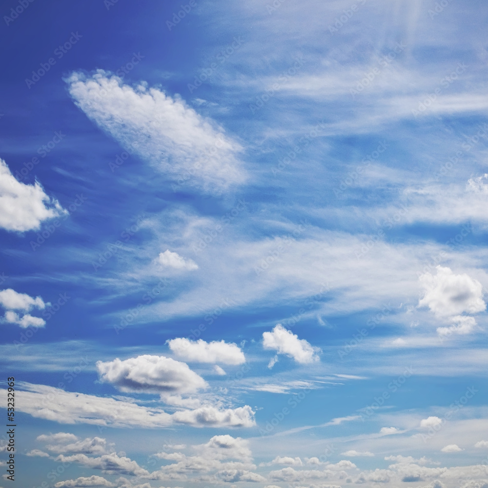 Sunny sky Sunny sky