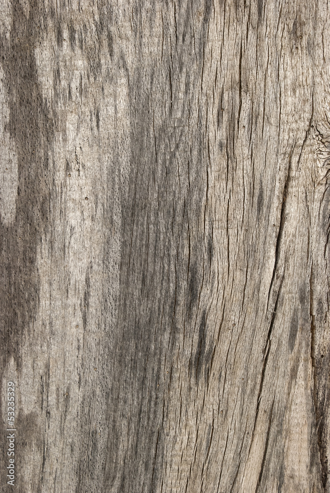 Old weathered grey wooden board as background Old weathered grey wooden board as background