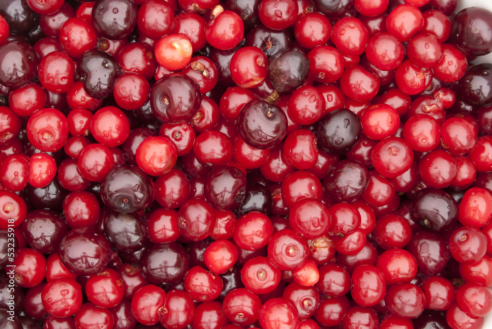 Wet sour cherry organic fruits closeup as backround Wet sour cherry organic fruits closeup as backround