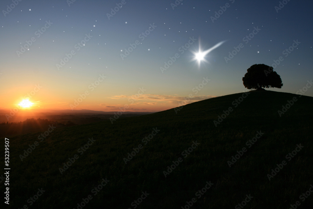 custom made wallpaper toronto digitalSternschnuppe