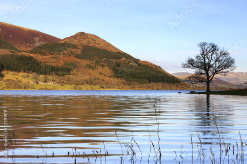 Bassenthwaite Lake View photo