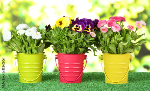 Beautiful flowers on grass on bright background