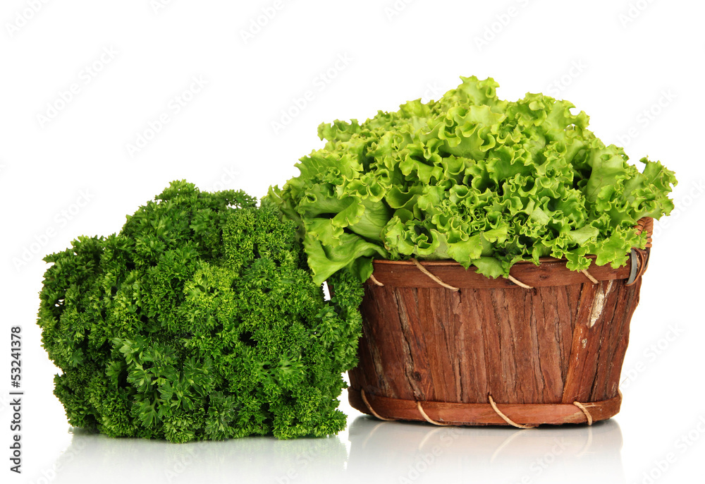 Useful herbs isolated on white Useful herbs isolated on white