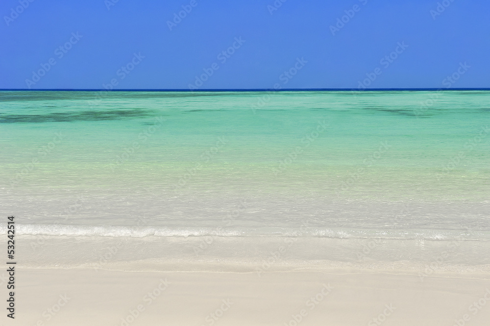 Obraz premium My holiday at the beach.