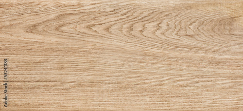 oak texture photo