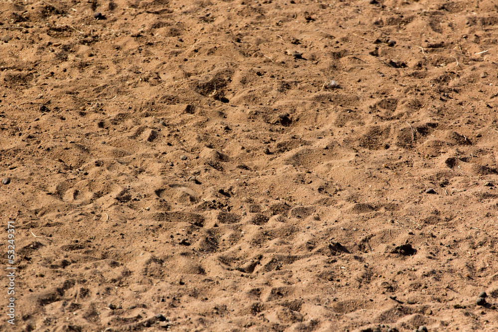 Sand patterns background Sand patterns background