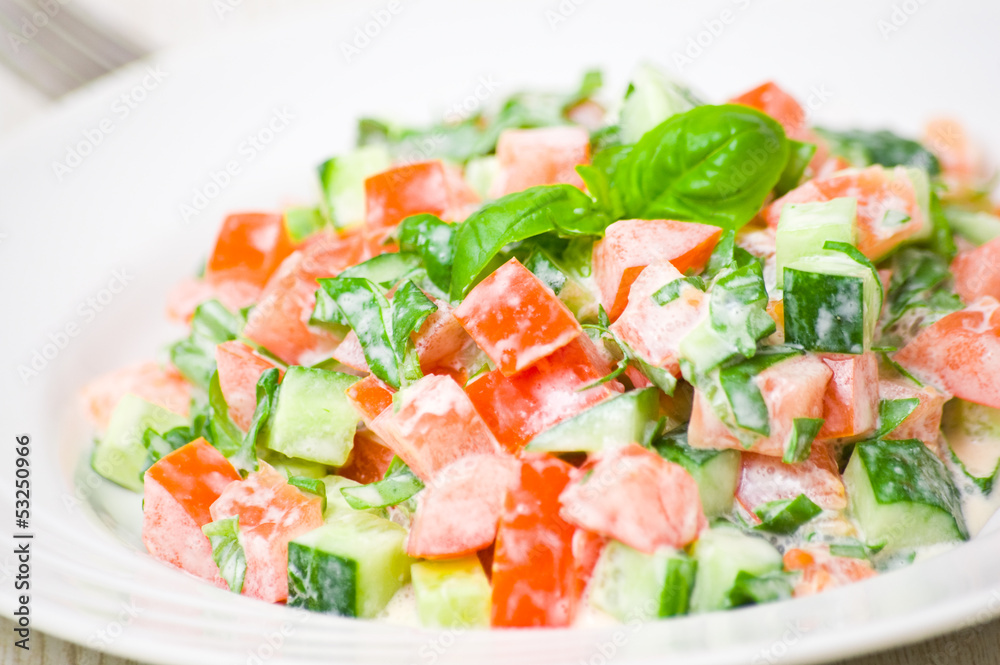 fresh vegetable salad fresh vegetable salad
