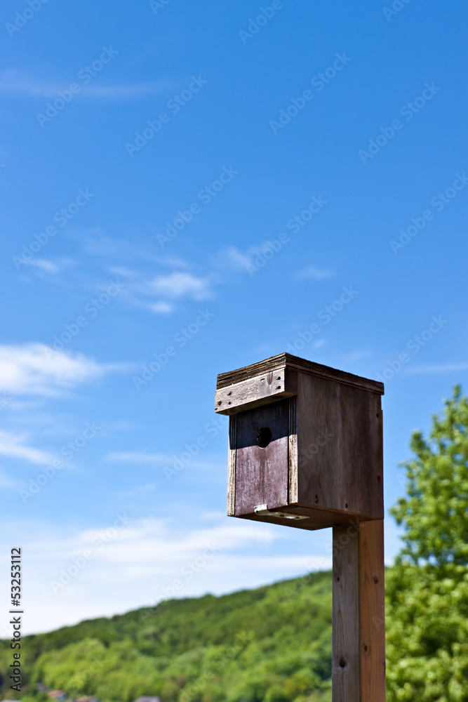 Brutkasten, Vogelnest, Vogelkasten