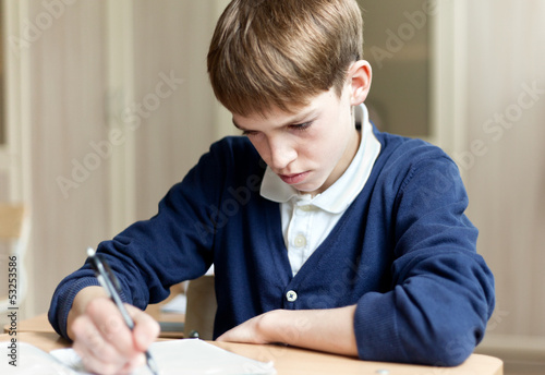 Diligent student sitting at desk, classroom