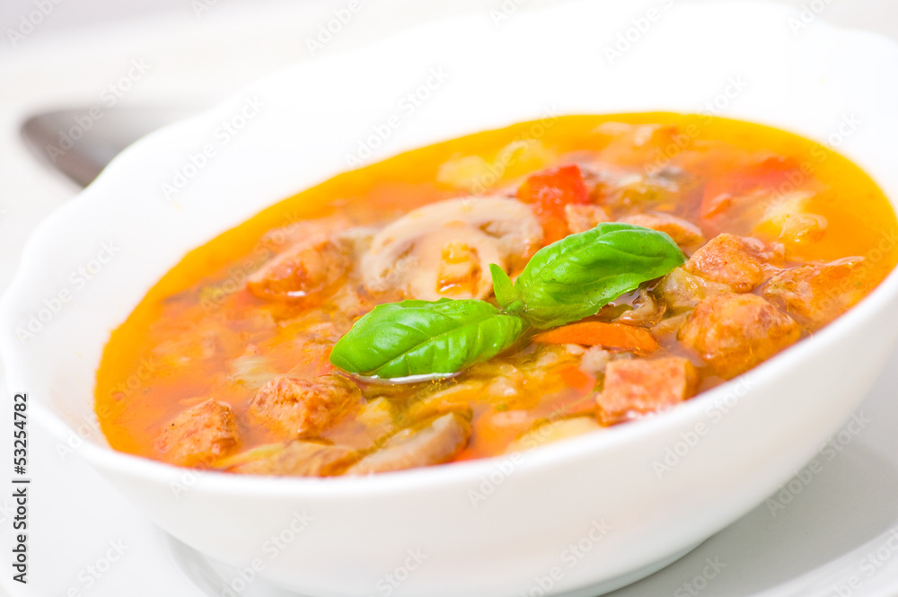 soup with meat, mushrooms and vegetables