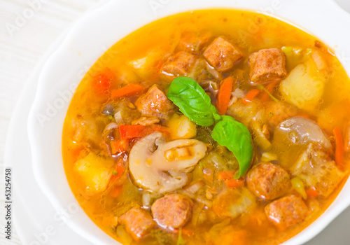 soup with meat, mushrooms and vegetables