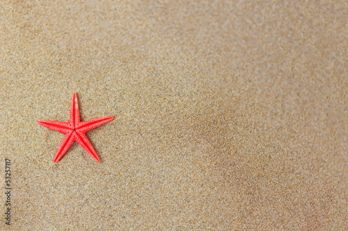 Starfish on the beach