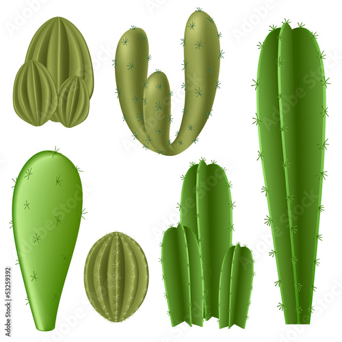 Cactus set