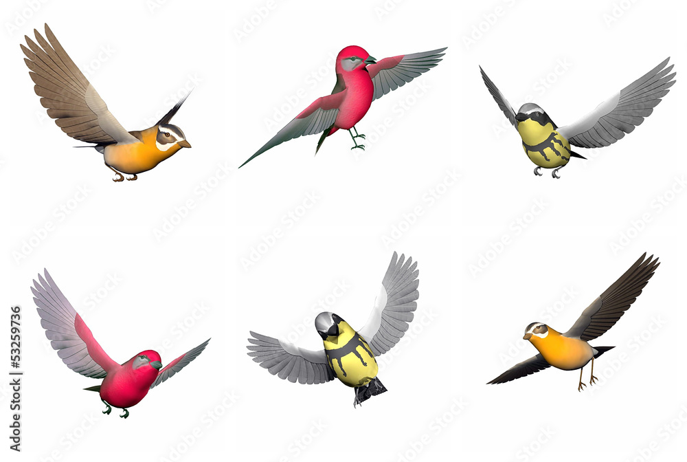 Fototapeta premium Set of songbirds - 3D render