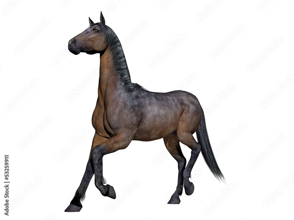 Fototapeta premium Brown horse - 3D render