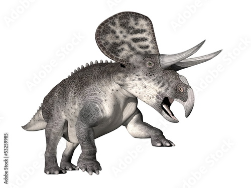 Zuniceratops dinosaur - 3D render