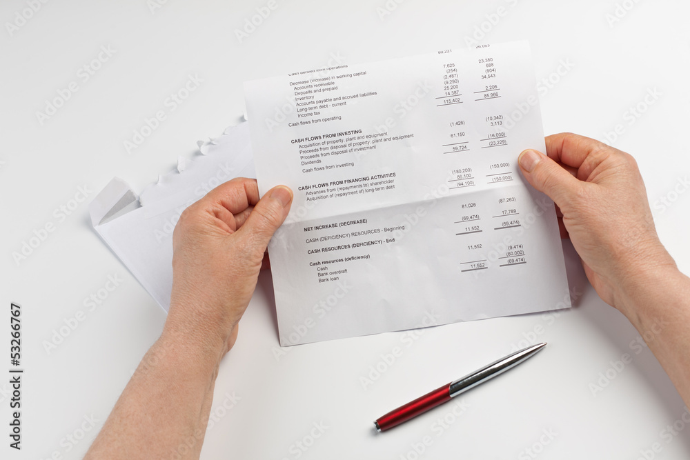 Financial Statement Financial Statement