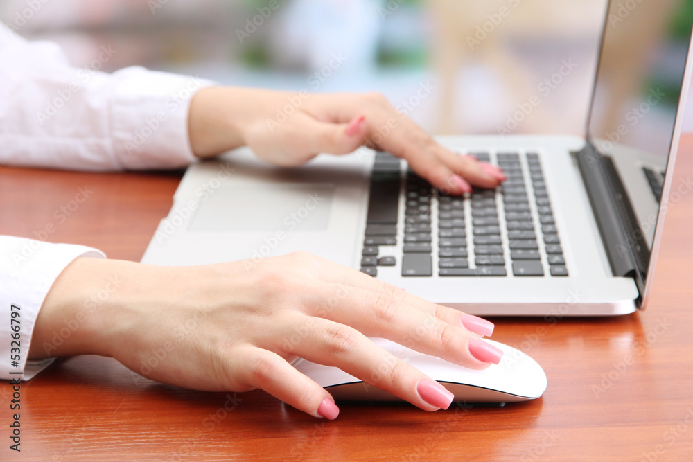 Fototapeta premium Female hands working on laptop, on bright background