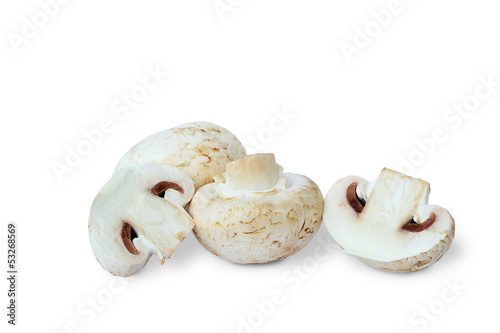 Common mushroom - champignons on white