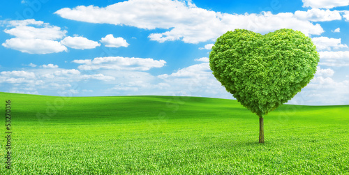 Heart shaped tree on the field
