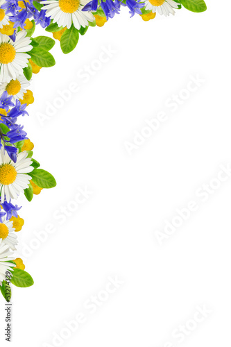 Corner with wild flowers