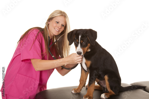 veterinarian woman with a dog