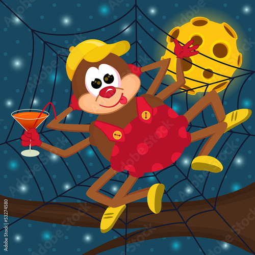 spider relax on the cobweb