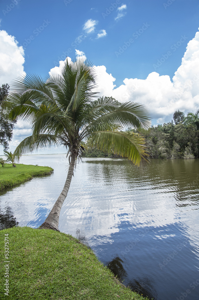 Obraz premium Paesaggio caraibico