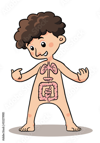 Child Body Organ. Body organ explaining of a child.