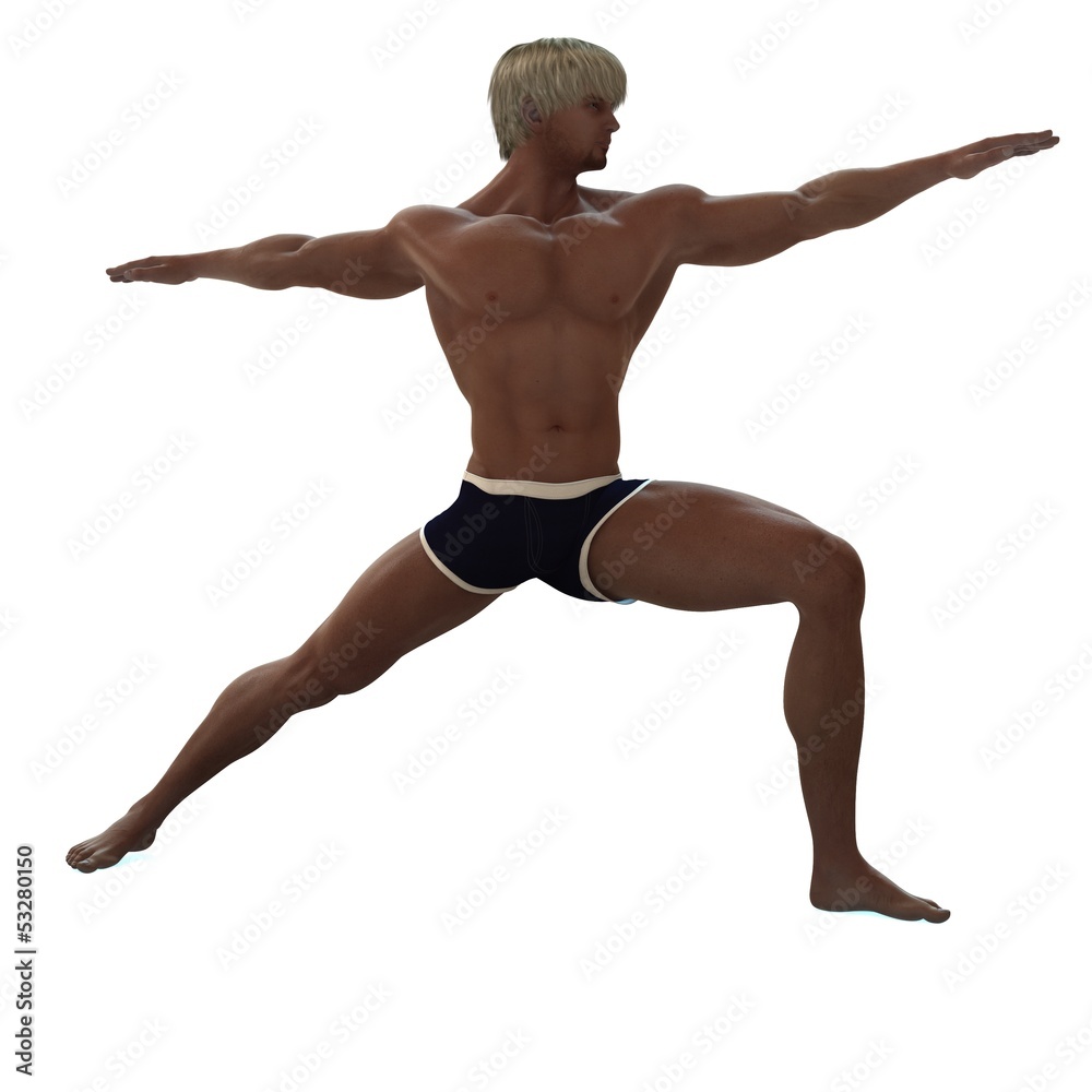 Obraz premium warrior pose
