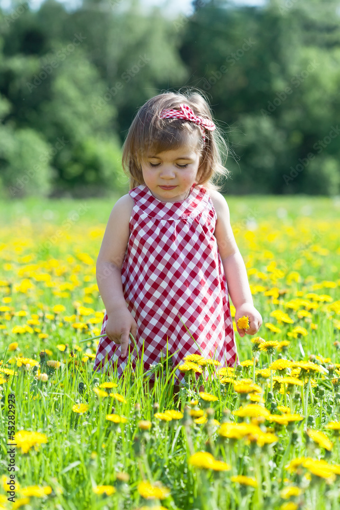 Little girl walks in the field with dandelions Little girl walks in the field with dandelions