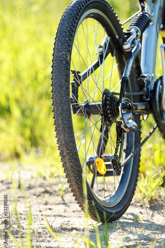 detail of bike parked in a meadow © ArtushFoto