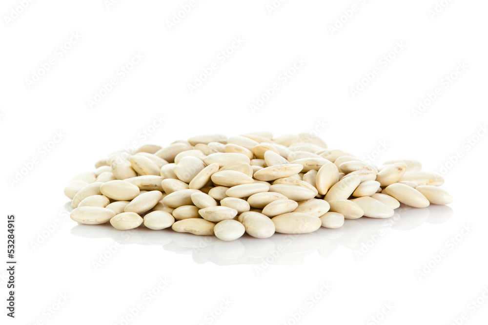 bean seeds isolated on white background bean seeds isolated on white background