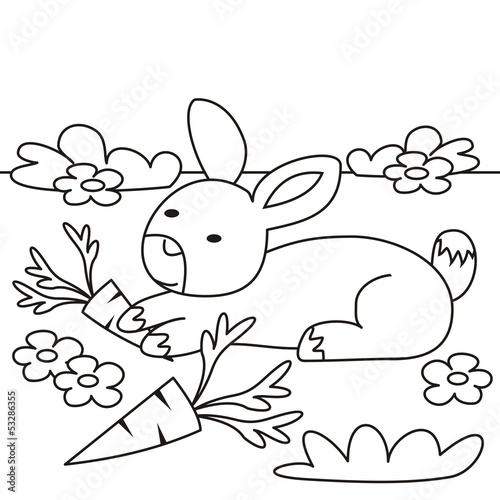 rabbit - coloring book, vector illustration