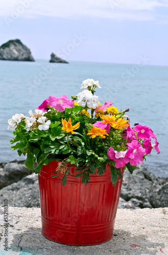 Flower pot with sea in background © vician_petar