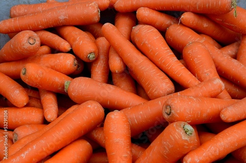 Many carrots in a pile