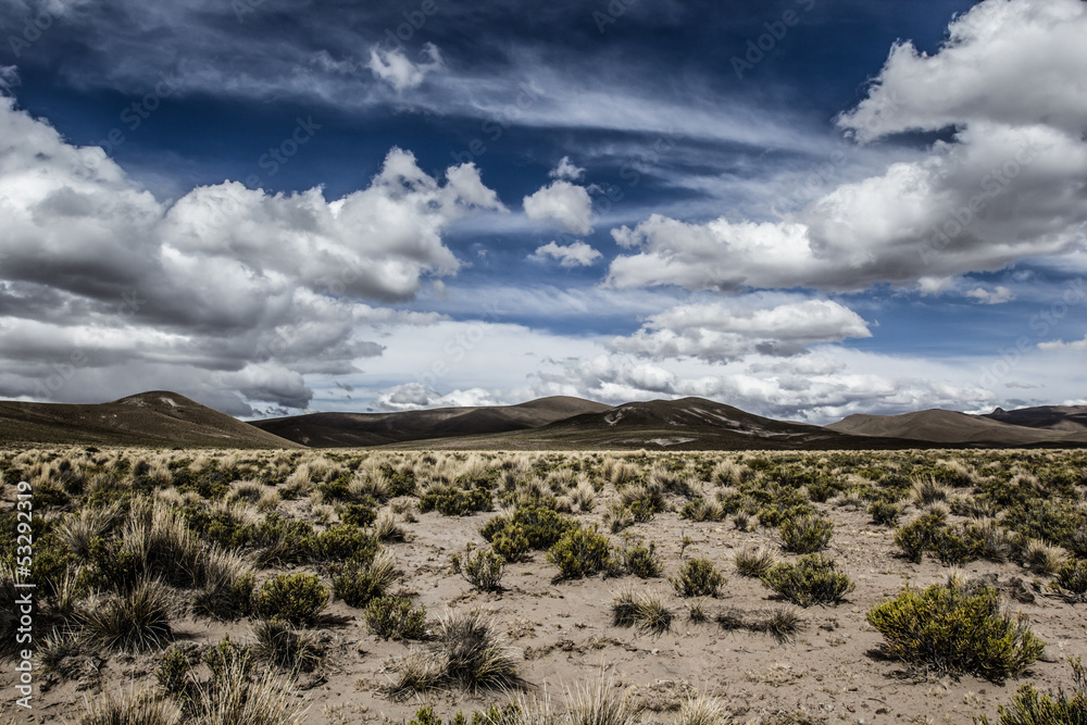 A desert on the altiplano of the andes in Bolivia A desert on the altiplano of the andes in Bolivia