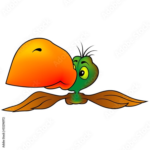 Parrot With An Orange Beak